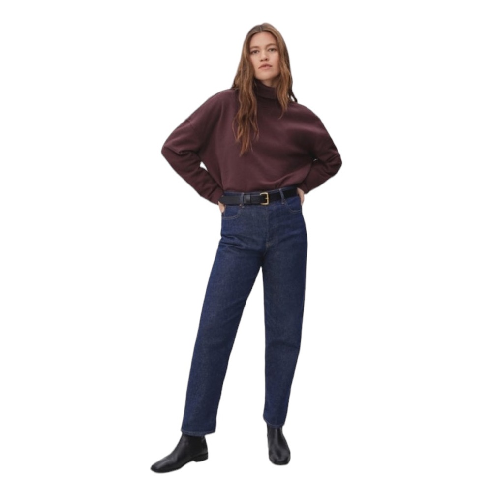 Everlane The Turtleneck Sweatshirt High Neck Boxy Long Sleeve Oversized NWOT